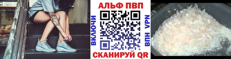 Альфа ПВП СК КРИС  KRAKEN   Волгоград 