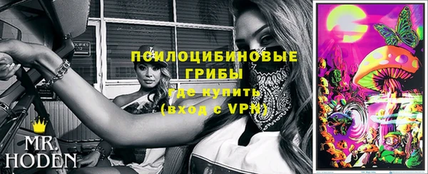 дживик Новозыбков