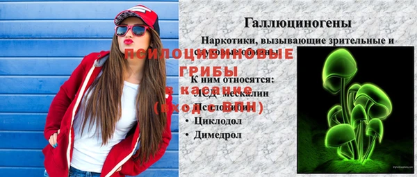 ПСИЛОЦИБИНОВЫЕ ГРИБЫ Новодвинск