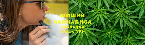 дживик Новозыбков