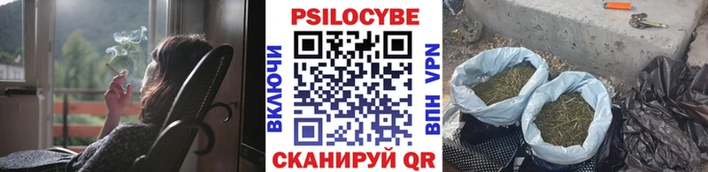 Галлюциногенные грибы Psilocybe  Волгоград 