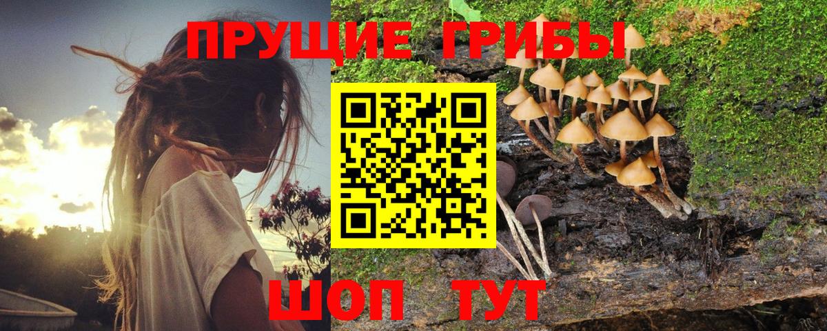 Галлюциногенные грибы мухоморы  Галлюциногенные грибы Psilocybine cubensis  Волгоград  Вход с VPN 