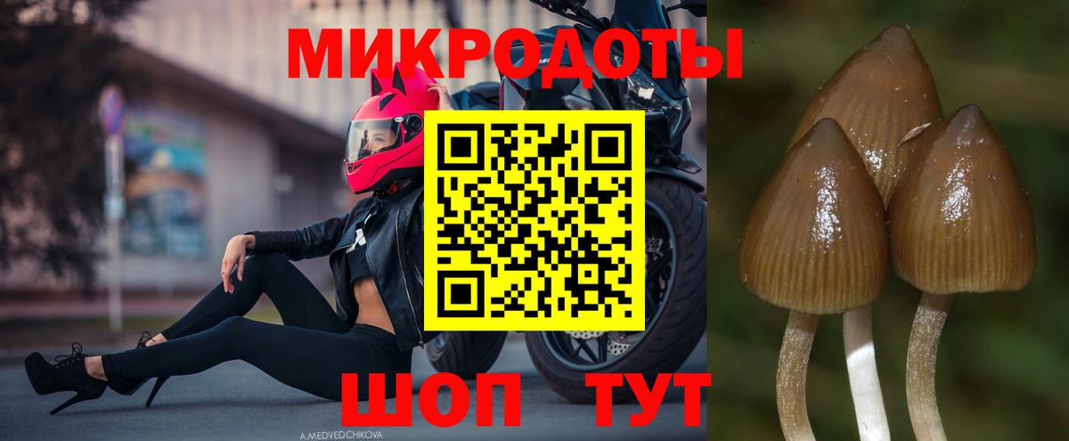 Канабис  Гарик  Вход с VPN  Hash Oil  Alpha PVP  ГАШИШ  Cocaine  Кокаин  Волгоград  Мяу-Мяу 